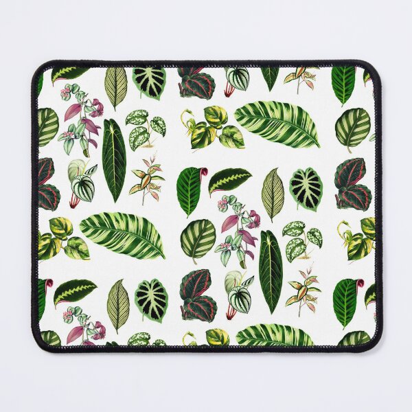Item preview, Tropical houseplants collection designed and sold by chimakingthings.