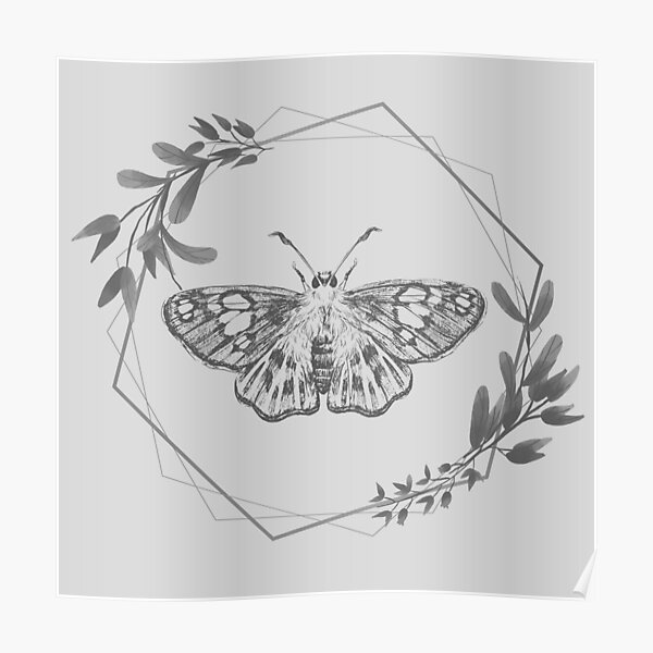 Moth Poster
