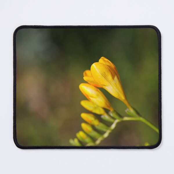 Item preview, The Moody Freesia Hand designed and sold by Joy Watson - Natural Light Photography .