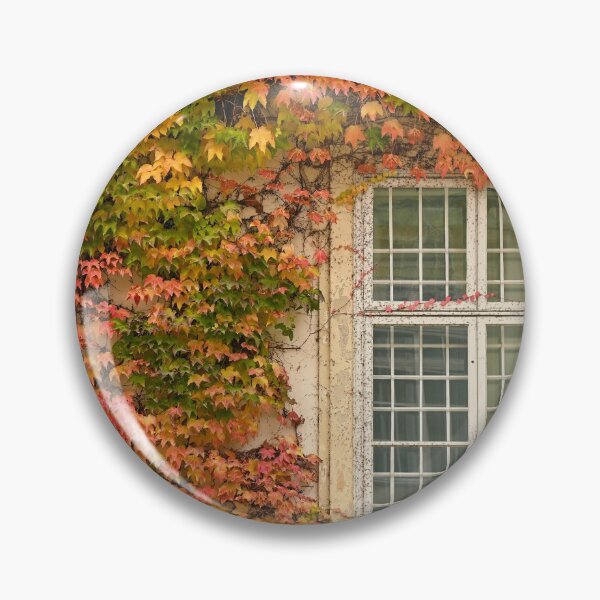 Item preview, wall with rustic window and creeper in Vienna autumn season designed and sold by goceris.