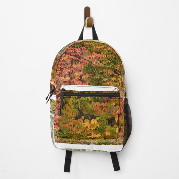 Item preview, wall with rustic window and creeper in Vienna autumn season designed and sold by goceris.