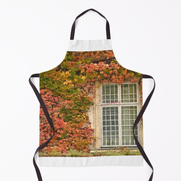 Item preview, wall with rustic window and creeper in Vienna autumn season designed and sold by goceris.