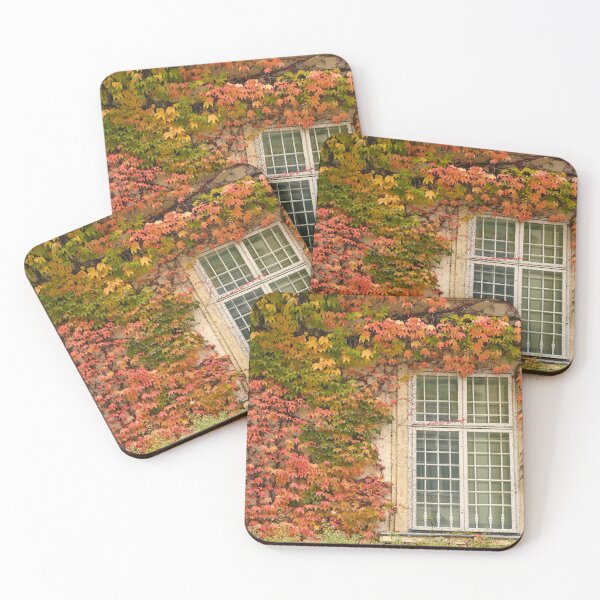 Item preview, wall with rustic window and creeper in Vienna autumn season designed and sold by goceris.