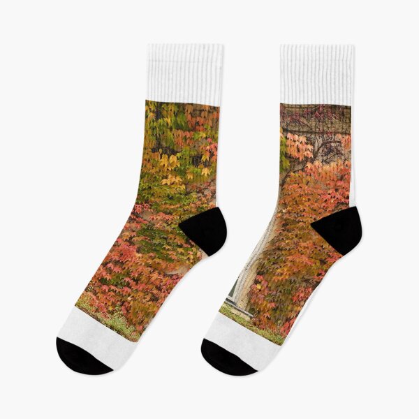 Item preview, wall with rustic window and creeper in Vienna autumn season designed and sold by goceris.