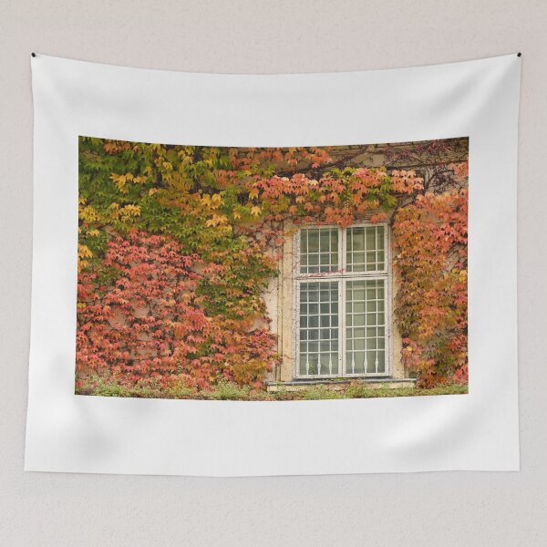 Item preview, wall with rustic window and creeper in Vienna autumn season designed and sold by goceris.