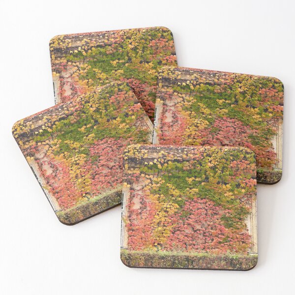 Item preview, wall with rustic windows and creeper  autumn season designed and sold by goceris.