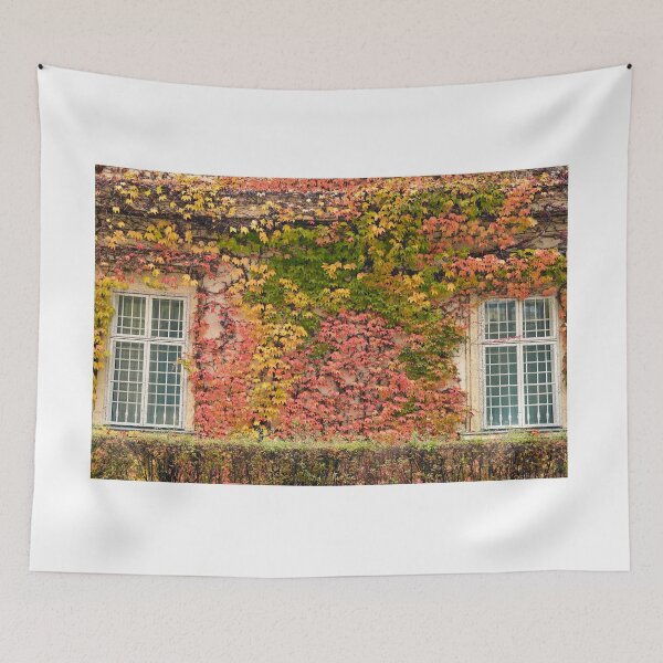 Item preview, wall with rustic windows and creeper  autumn season designed and sold by goceris.