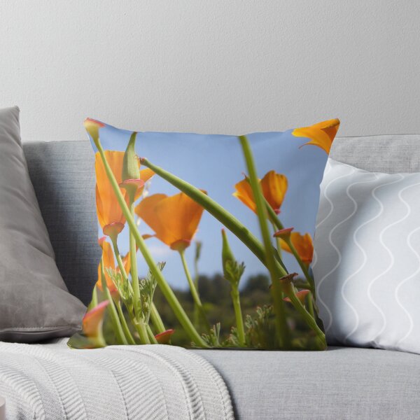 Item preview, California Poppies designed and sold by Miriam Gordon.