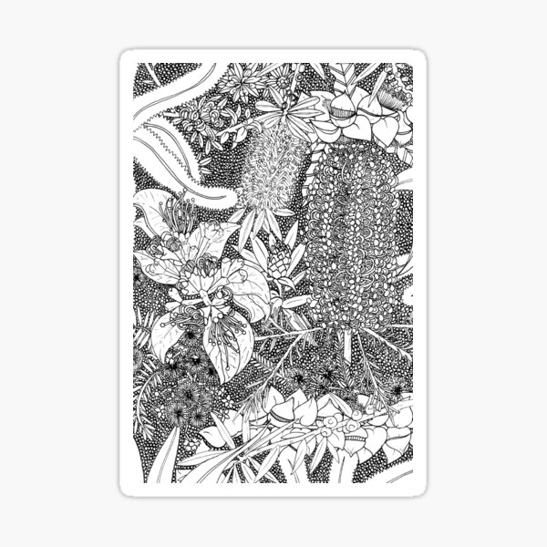 Aperçu de l'œuvre Conception de plantes indigènes australiennes - Noir et blanc créée et vendue par Charlotte Weaver.