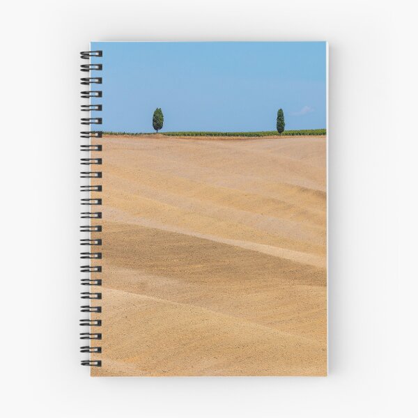 Item preview, Minimal trees in Val D Orcia designed and sold by pietrofoto.