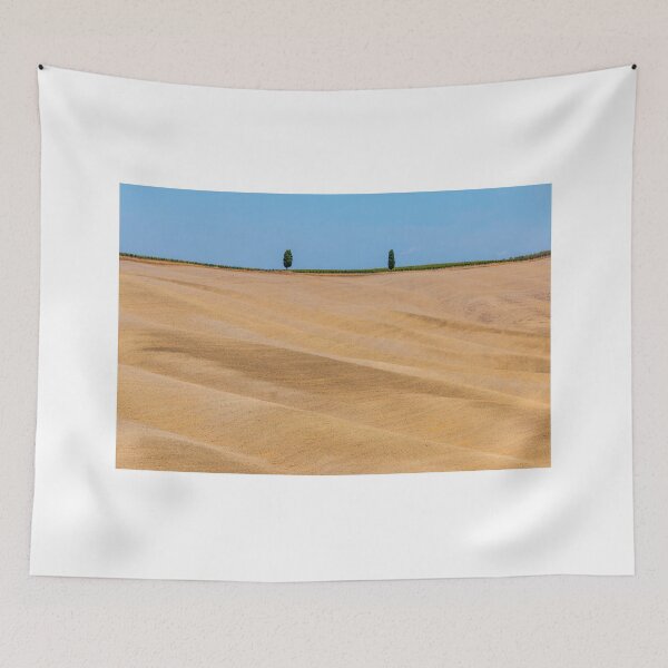 Item preview, Minimal trees in Val D Orcia designed and sold by pietrofoto.