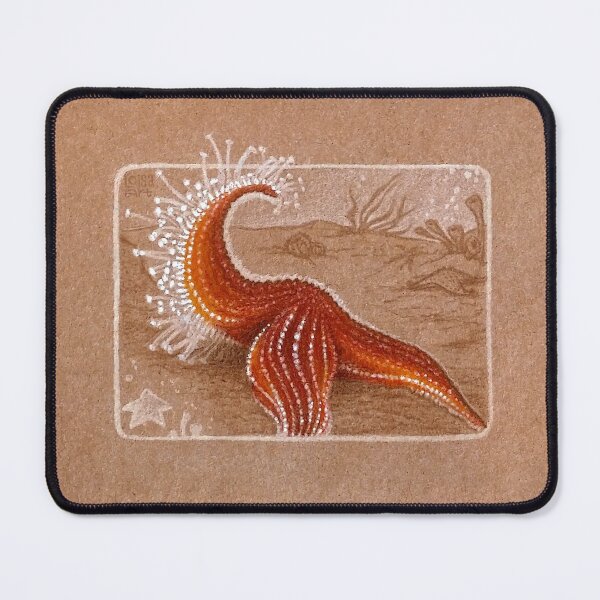 Item preview, Common Starfish designed and sold by LoisaArt.