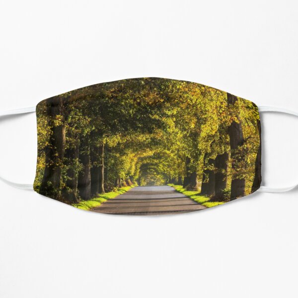 Road Art Flat Mask