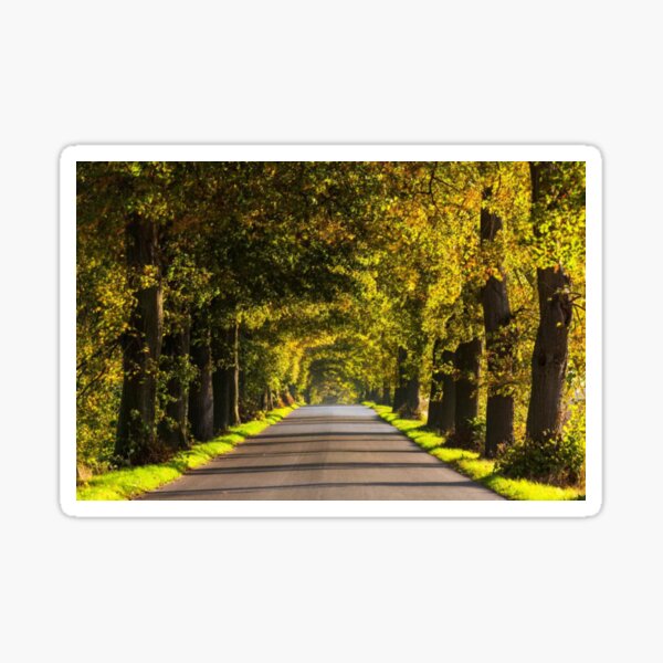 Arte de la carretera Pegatina