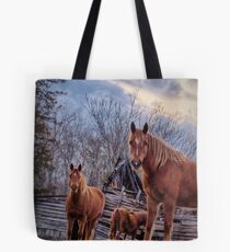 Mares Tote Bag