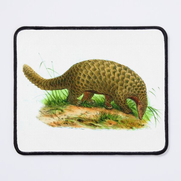 Item preview, Giant Pangolin  designed and sold by HushedCreations.