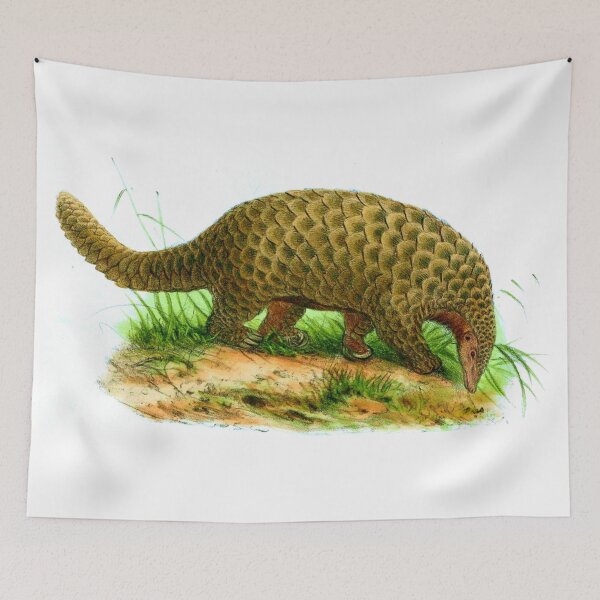 Item preview, Giant Pangolin  designed and sold by HushedCreations.
