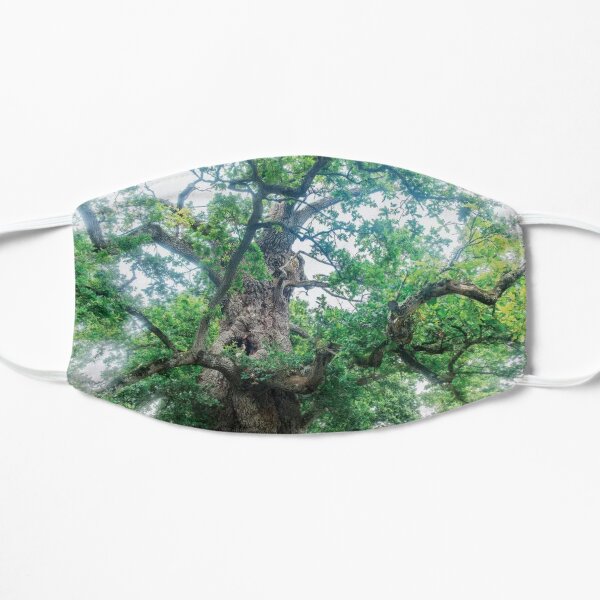 The Old Oak Flat Mask