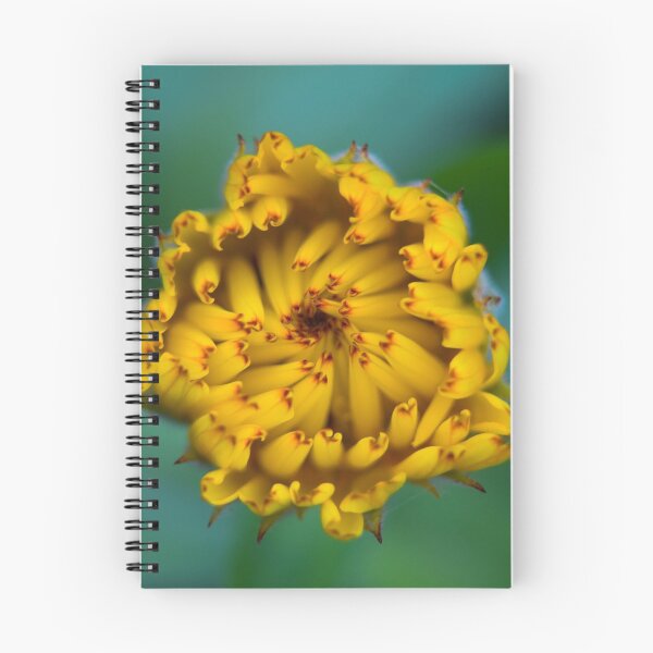 Item preview, Unfolding flower designed and sold by Anita van Gendt.
