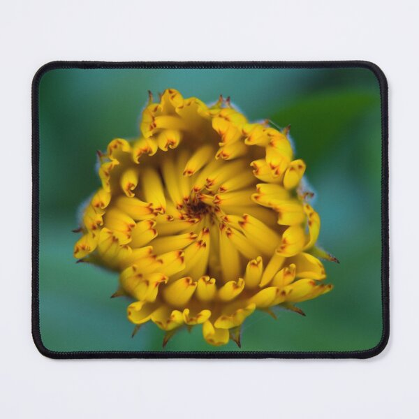 Item preview, Unfolding flower designed and sold by Anita van Gendt.