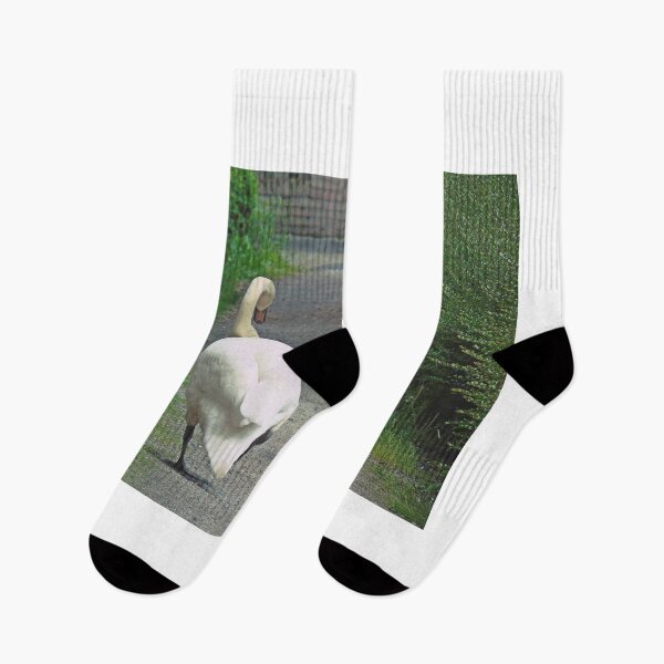 Item preview, Swan family walking with their cygnets designed and sold by Anita van Gendt.