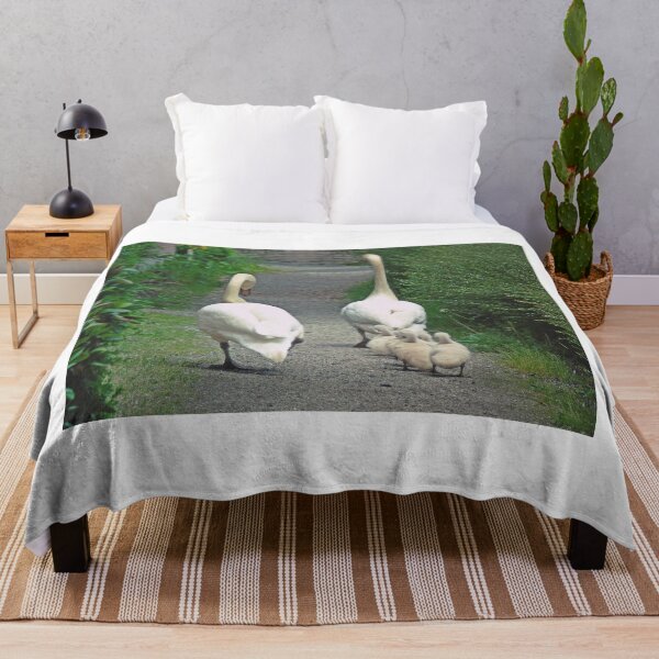 Item preview, Swan family walking with their cygnets designed and sold by Anita van Gendt.