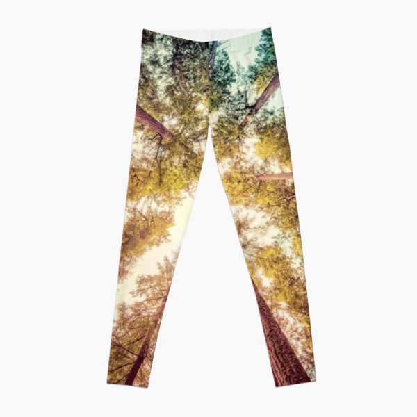 Vintage Forest Canopy Sky Leggings