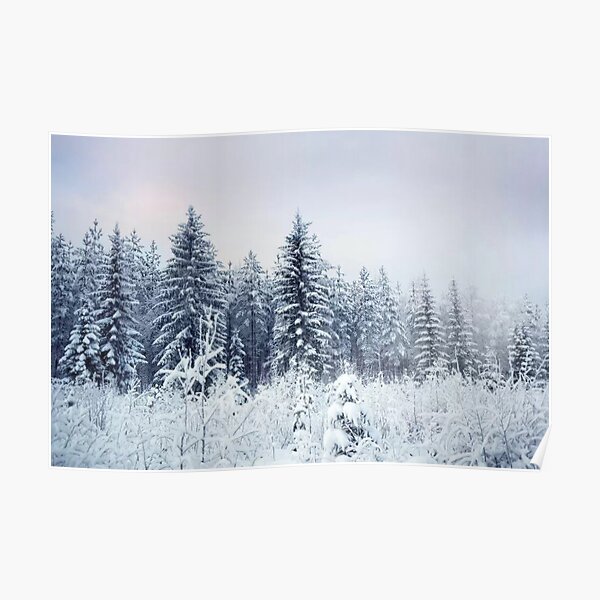 Where Christmas Trees Are Born Poster