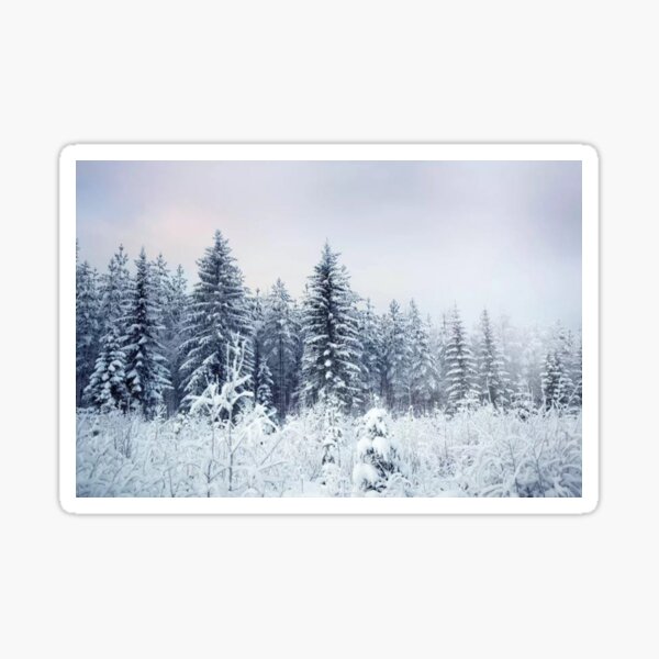 Where Christmas Trees Are Born Sticker