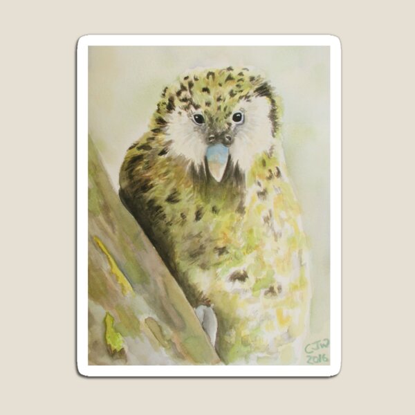 Kakapo Art Gift, Watercolour Painting, Birds Magnet