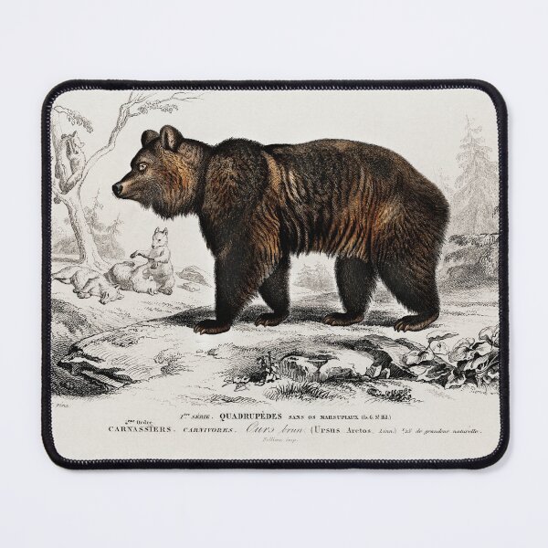 Item preview, Brown Bear designed and sold by FindYouByZ.