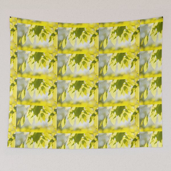 Item preview, Young Elm leaves on blurred green  designed and sold by Arletta Cwalina.