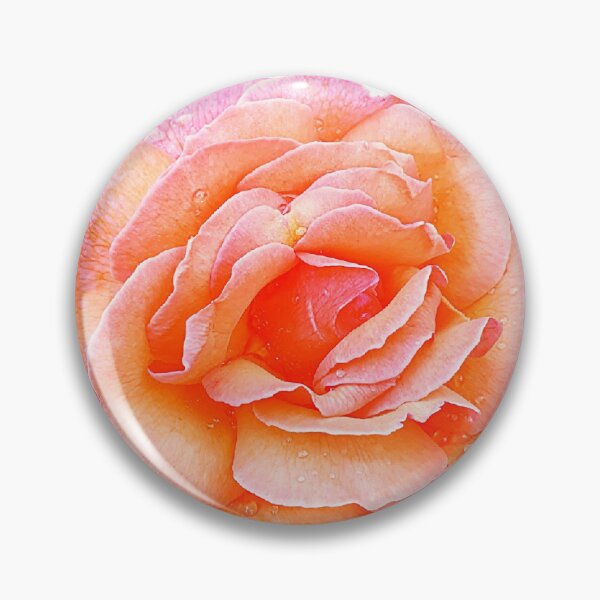 Item preview, Stunning orange and pink speckled rose covered in raindrops designed and sold by Steph-draws.
