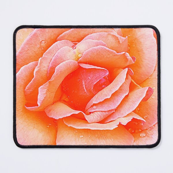 Item preview, Stunning orange and pink speckled rose covered in raindrops designed and sold by Steph-draws.