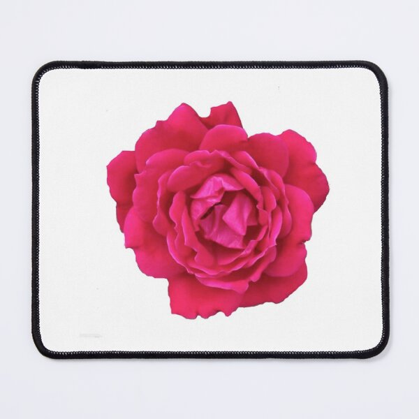 Item preview, Pink Rose designed and sold by lilly8405.