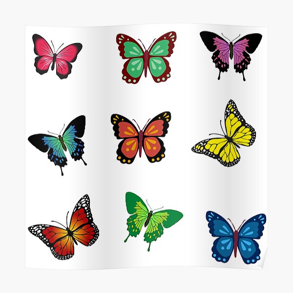 Butterfly set - multicolour Poster