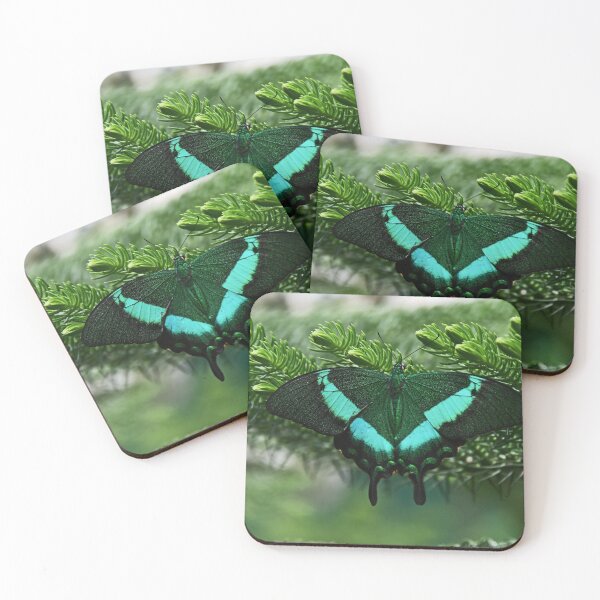 Item preview, Emerald Swallowtail (Papillio palinurus) designed and sold by Poete100.