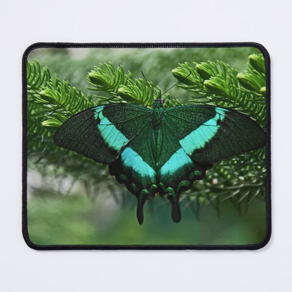 Item preview, Emerald Swallowtail (Papillio palinurus) designed and sold by Poete100.
