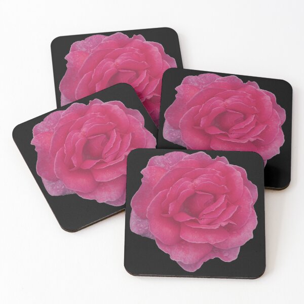 Item preview, Beautiful red and pink speckled rose covered in raindrops designed and sold by Steph-draws.