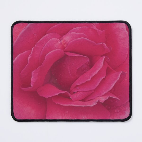 Item preview, Beautiful red and pink speckled rose covered in raindrops designed and sold by Steph-draws.