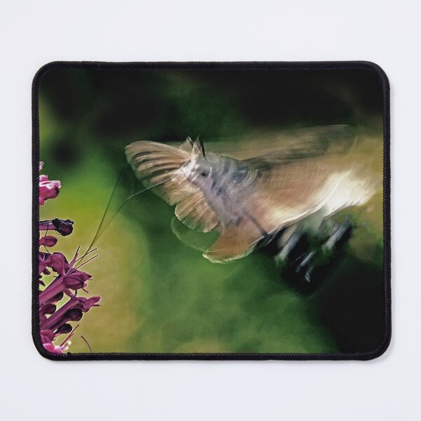 Item preview, New Finition  r1614/ THE BEST  Beautiful Photos THE SPHINX (butterfly) 19 (c)(t) by Olao-Olavia / Okaio Créations  by fz 1000 360.000 photos designed and sold by o.okaïo.