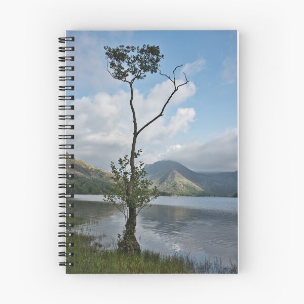 Item preview, Lonely tree Buttermere designed and sold by Derren Jones.