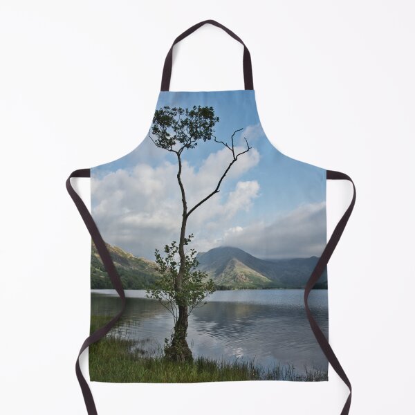 Item preview, Lonely tree Buttermere designed and sold by Derren Jones.