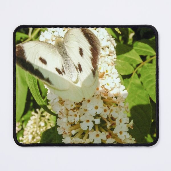 Item preview, Looking A View  designed and sold by Carl Gaynor.
