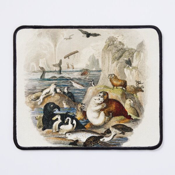 Item preview, Hand drawn of animals from A history of the earth and animated nature (1820) by Oliver Goldsmith designed and sold by Nikiolilalala.