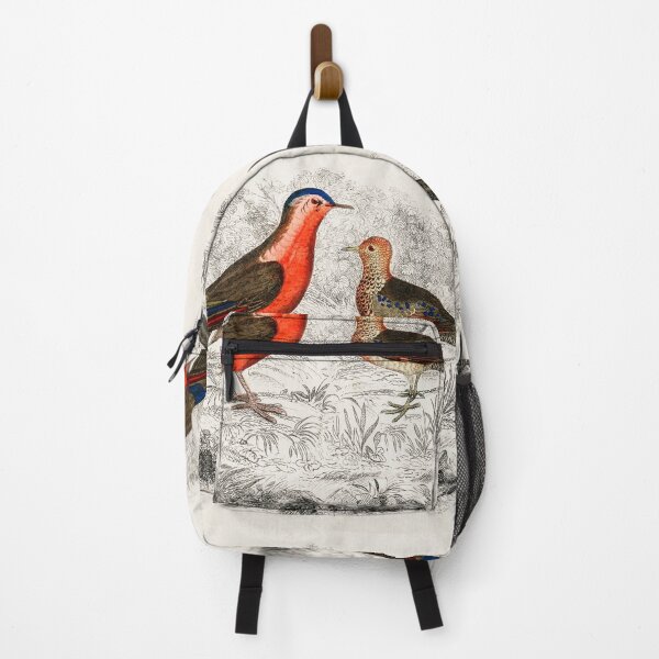 Item preview, Hand drawn sketch of birds by Oliver Goldsmith designed and sold by Nikiolilalala.