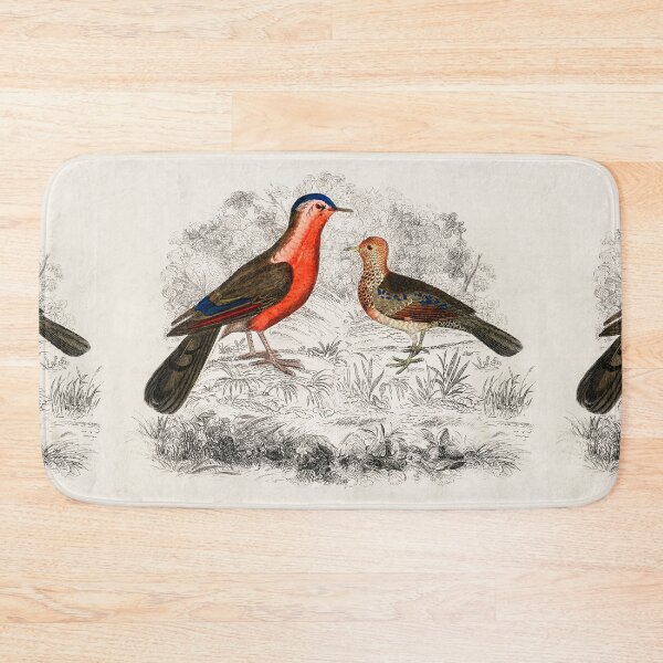 Item preview, Hand drawn sketch of birds by Oliver Goldsmith designed and sold by Nikiolilalala.
