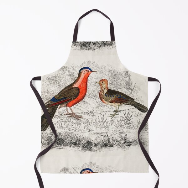 Item preview, Hand drawn sketch of birds by Oliver Goldsmith designed and sold by Nikiolilalala.