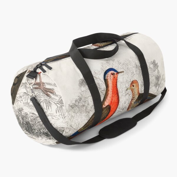 Item preview, Hand drawn sketch of birds by Oliver Goldsmith designed and sold by Nikiolilalala.