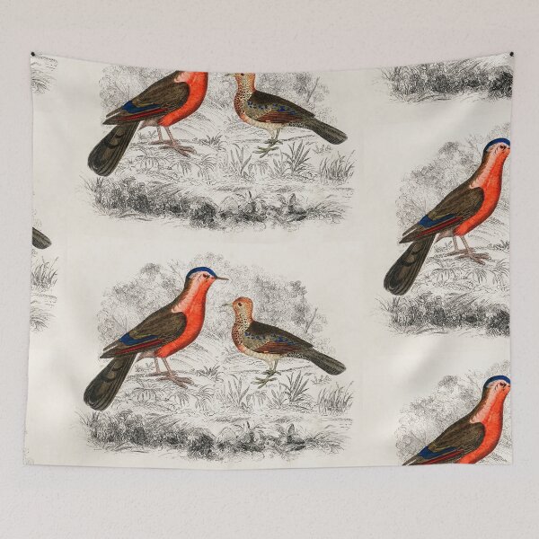 Item preview, Hand drawn sketch of birds by Oliver Goldsmith designed and sold by Nikiolilalala.
